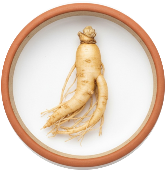 Ginseng